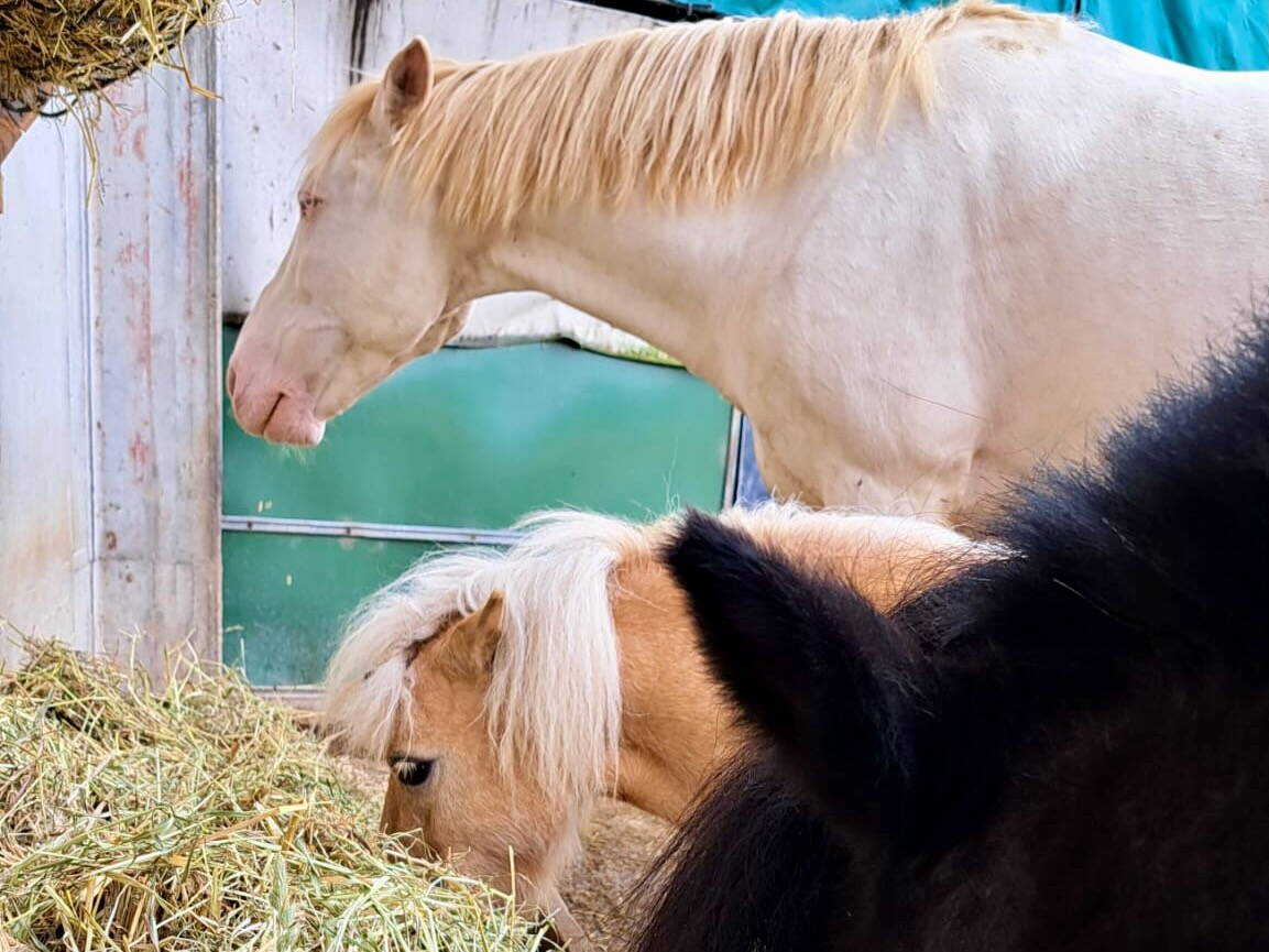 d427fe21-ccdb-49d6-b1cd-aa439ca663e2_1.jpeg d427fe21-ccdb-49d6-b1cd-aa439ca663e2_1.jpeg