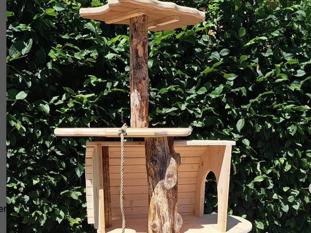 bildschirmfoto_2025-07-31_um_12.17.11.jpeg bildschirmfoto_2025-07-31_um_12.17.11.jpeg