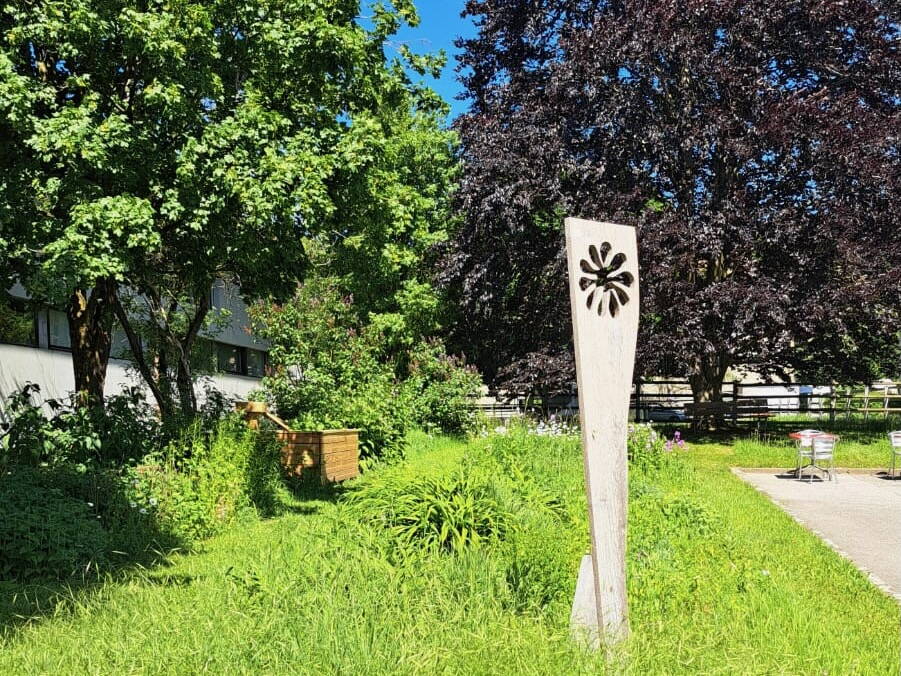 8d8722f7-229d-4692-80c9-449b3a325ca5_1.jpeg 8d8722f7-229d-4692-80c9-449b3a325ca5_1.jpeg